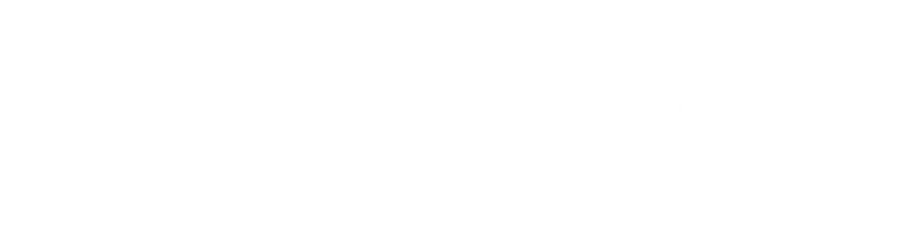 SkyNet NL