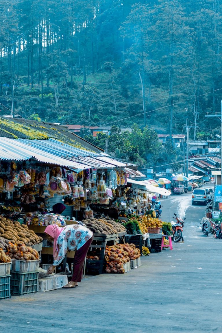 pakket versturen naar indonesië kosten